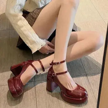 Mary Jane Ankle Strap Chunky Heels fashionnsio