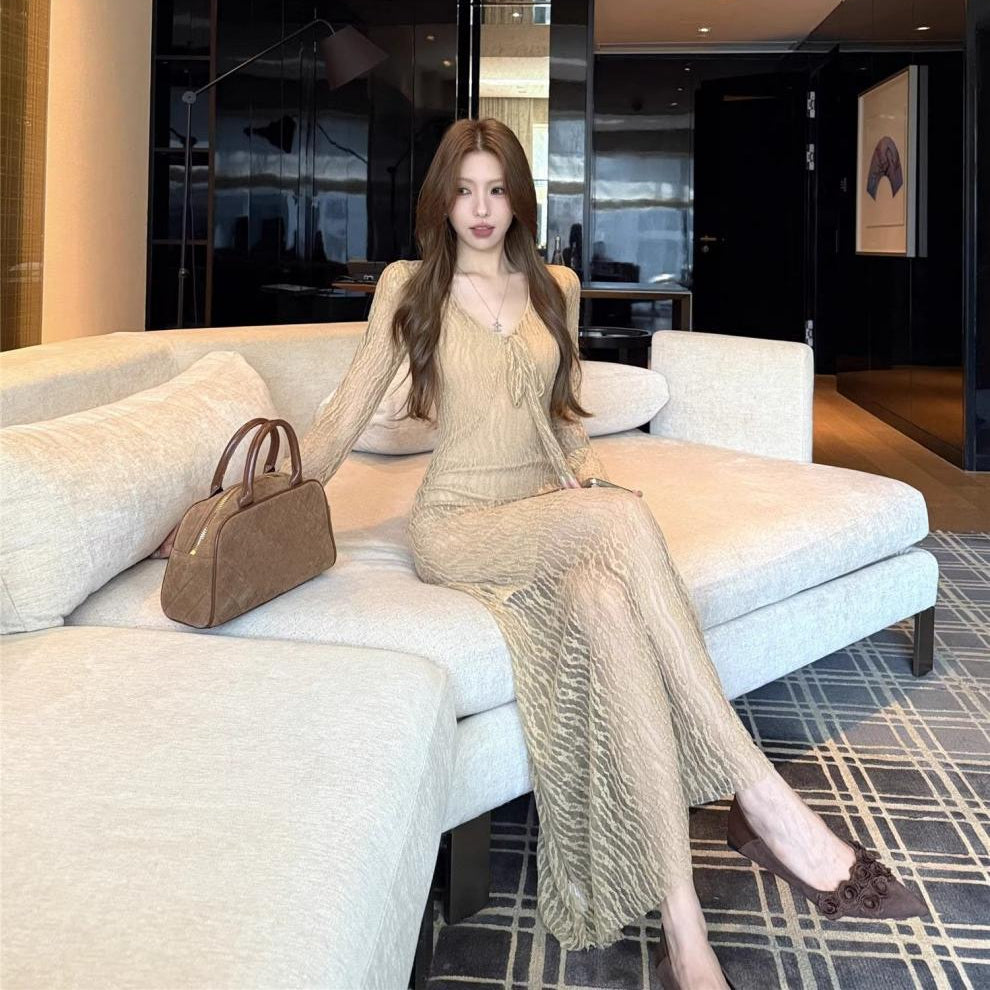 Mesh Long Sleeve Maxi Dress - Fashionnsio