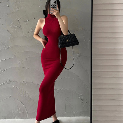 Turtleneck Bodycon Long Dress