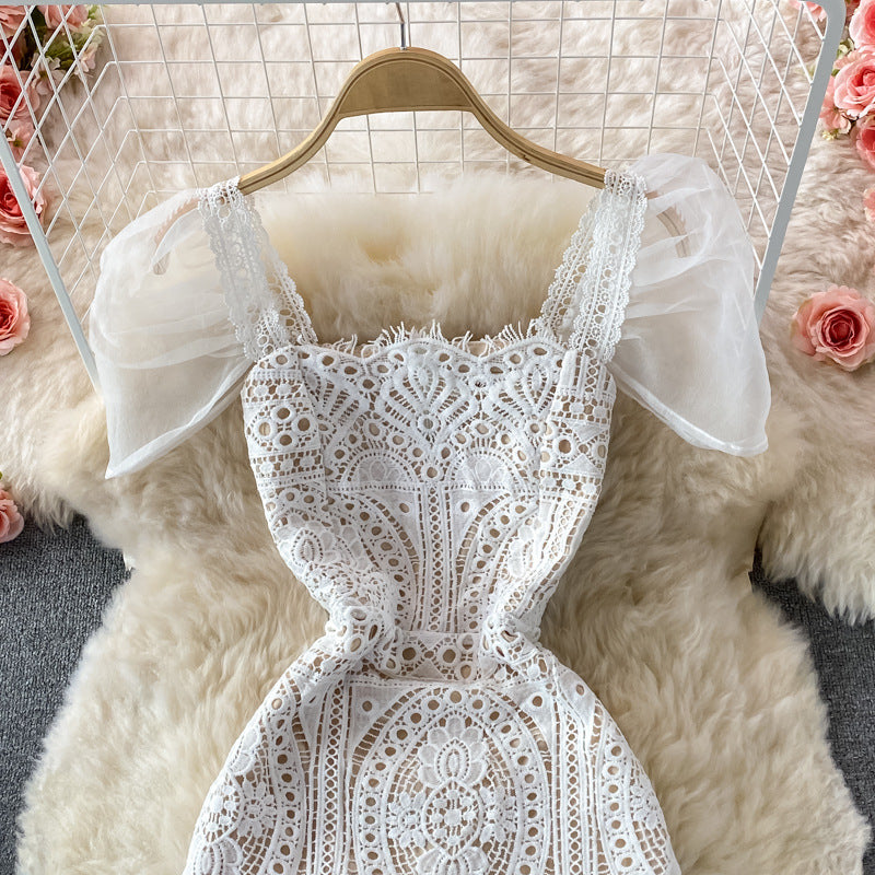 Bodycon Lace Dress