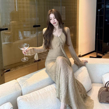 Mesh Long Sleeve Maxi Dress - Fashionnsio