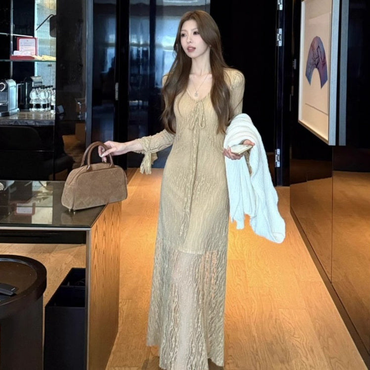 Mesh Long Sleeve Maxi Dress - Fashionnsio