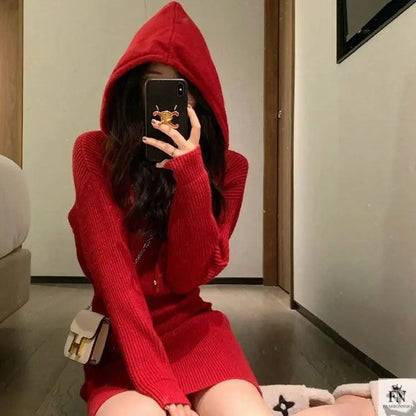 Hooded Knit Mini Dress - Fashionnsio