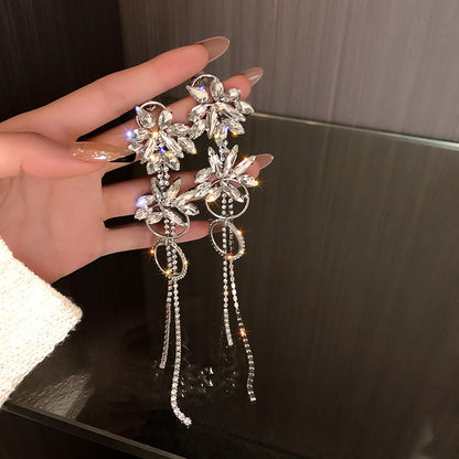 Crystal Hoop Long Earrings - Fashionnsio