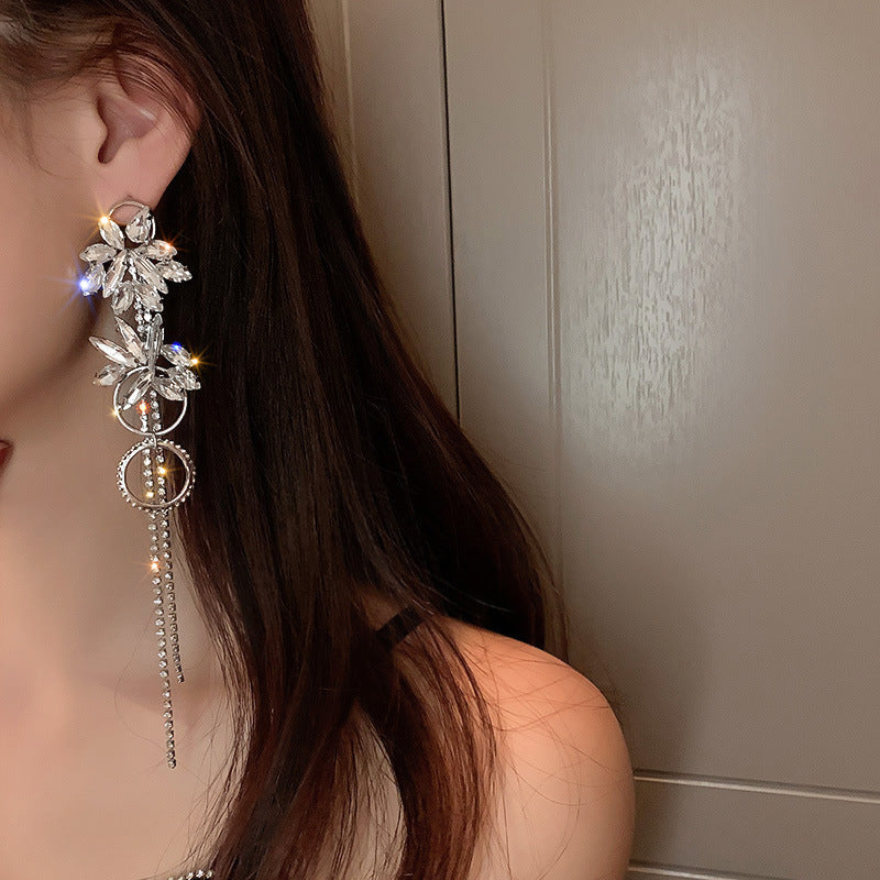 Crystal Hoop Long Earrings - Fashionnsio