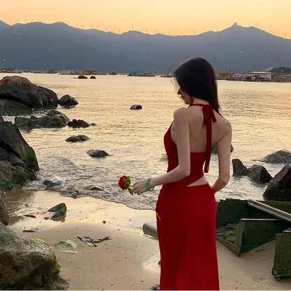 Mesh Splicing Halter Long Dress - Fashionnsio