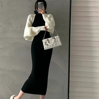 Turtleneck Bodycon Long Dress