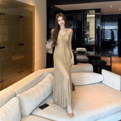 Mesh Long Sleeve Maxi Dress - Fashionnsio