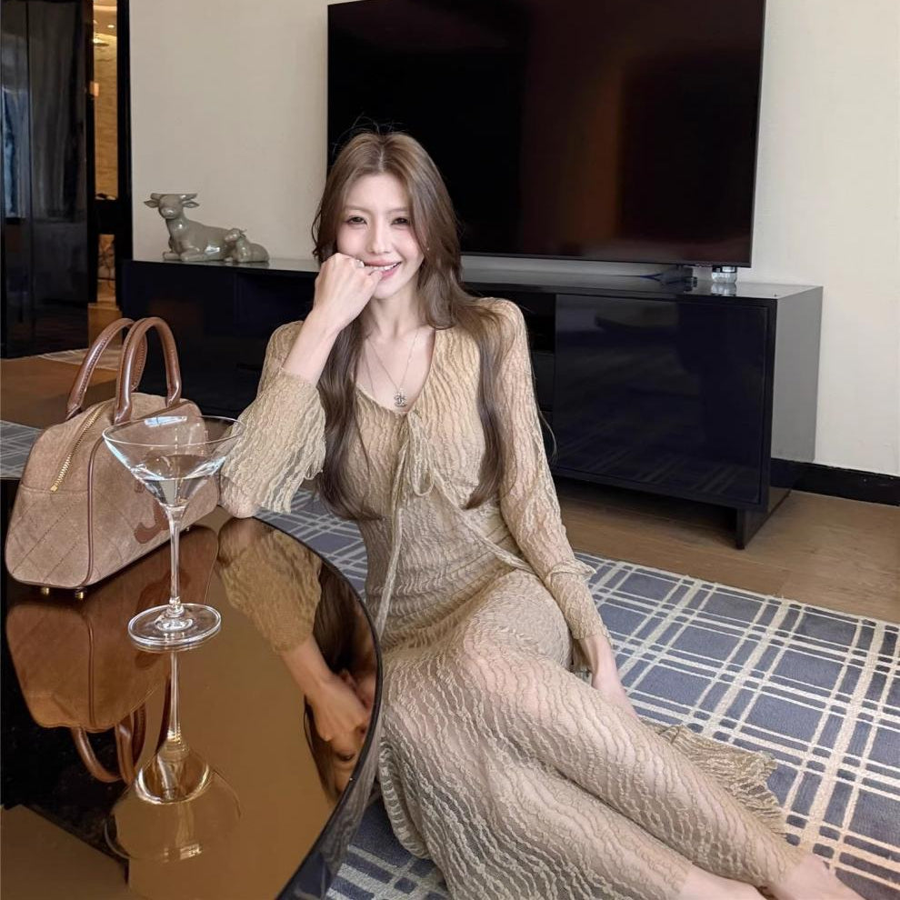 Mesh Long Sleeve Maxi Dress - Fashionnsio