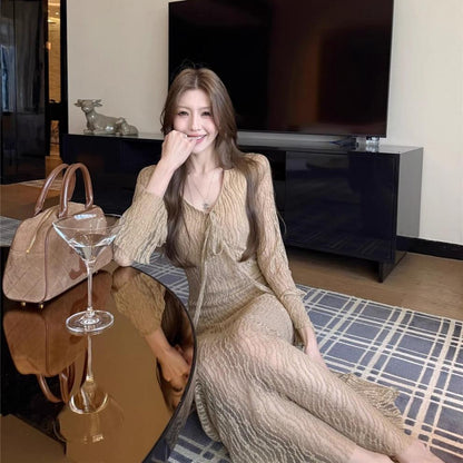 Mesh Long Sleeve Maxi Dress - Fashionnsio