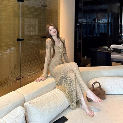 Mesh Long Sleeve Maxi Dress - Fashionnsio